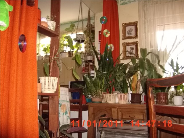 rano cvjeće